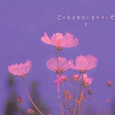 中国无人飞枪曝光